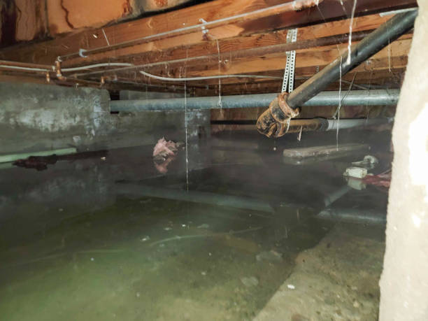 Best Commercial water damage restoration  in Ravensworth, VA