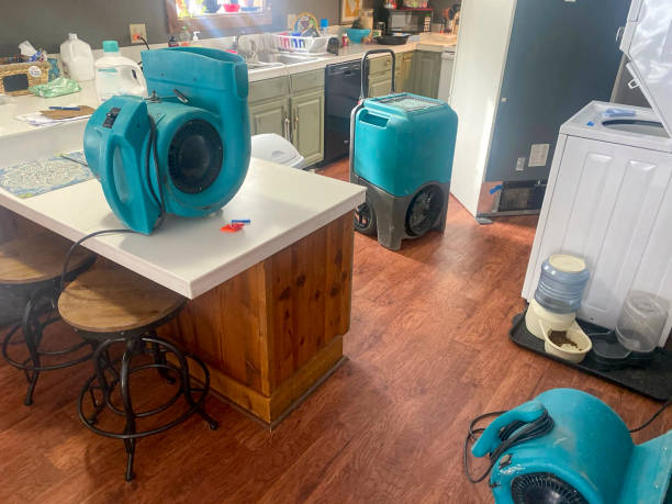 Best Water damage restoration near me  in Ravensworth, VA