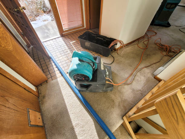 Best Water damage cleanup near me  in Ravensworth, VA
