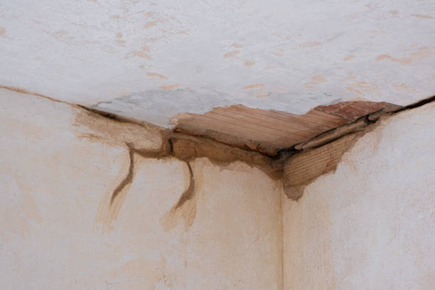 Best Flood damage cleanup  in Ravensworth, VA