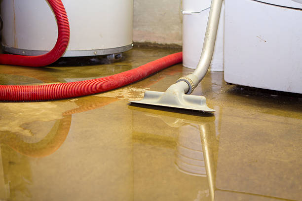 Best Commercial water damage restoration  in Ravensworth, VA