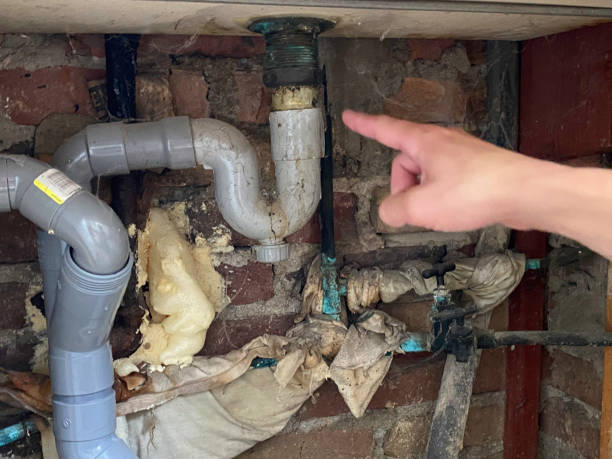 Best Water damage contractors near me  in Ravensworth, VA